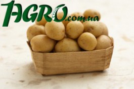 1agro.com.ua