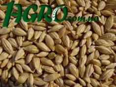 1agro.com.ua