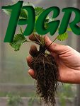 1agro.com.ua