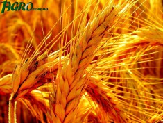 1agro.com.ua