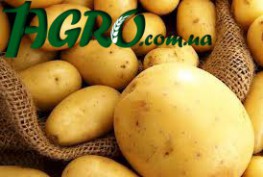 1agro.com.ua