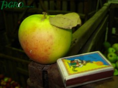 1agro.com.ua