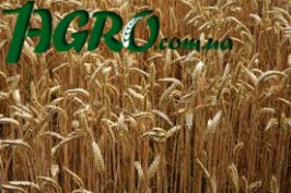 1agro.com.ua