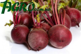1agro.com.ua