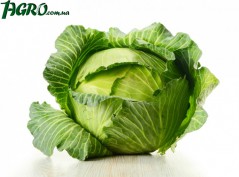 1agro.com.ua
