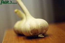 1agro.com.ua