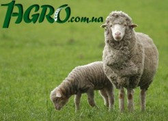1agro.com.ua