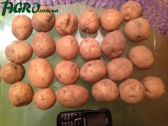 1agro.com.ua