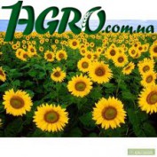 1agro.com.ua