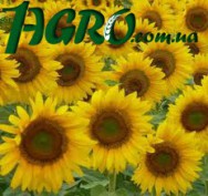 1agro.com.ua