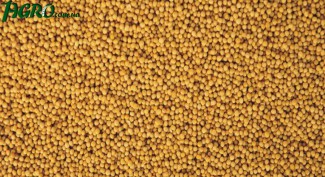 1agro.com.ua
