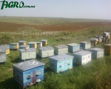 1agro.com.ua