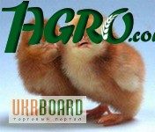 1agro.com.ua
