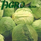 1agro.com.ua