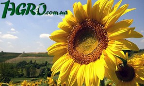 1agro.com.ua