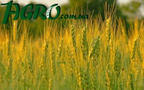 1agro.com.ua