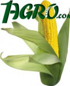 1agro.com.ua