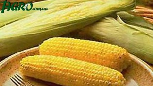 1agro.com.ua