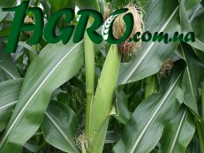1agro.com.ua