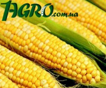 1agro.com.ua