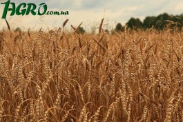 1agro.com.ua