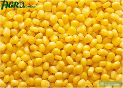 1agro.com.ua