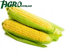 1agro.com.ua