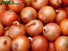 1agro.com.ua