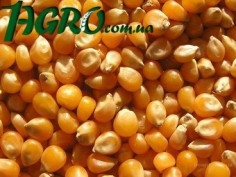 1agro.com.ua