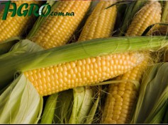 1agro.com.ua