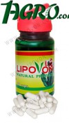 1agro.com.ua