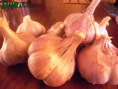 1agro.com.ua