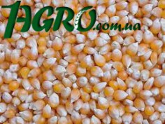 1agro.com.ua