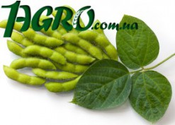 1agro.com.ua