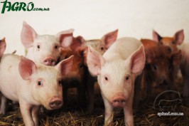1agro.com.ua