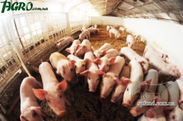 1agro.com.ua