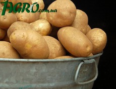 1agro.com.ua