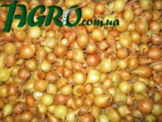 1agro.com.ua