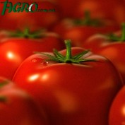 1agro.com.ua