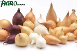 1agro.com.ua