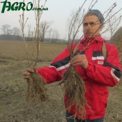 1agro.com.ua