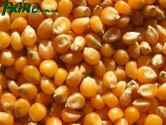 1agro.com.ua