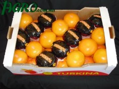 1agro.com.ua