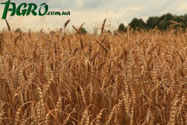 1agro.com.ua