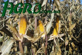 1agro.com.ua