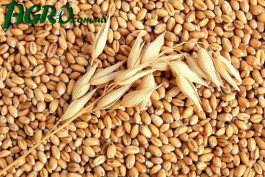 1agro.com.ua