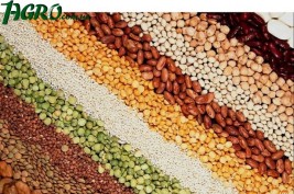 1agro.com.ua