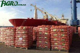 1agro.com.ua