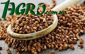 1agro.com.ua