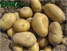 1agro.com.ua